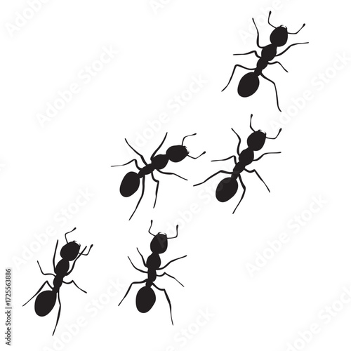 ant silhouette design. small animal sign and symbol