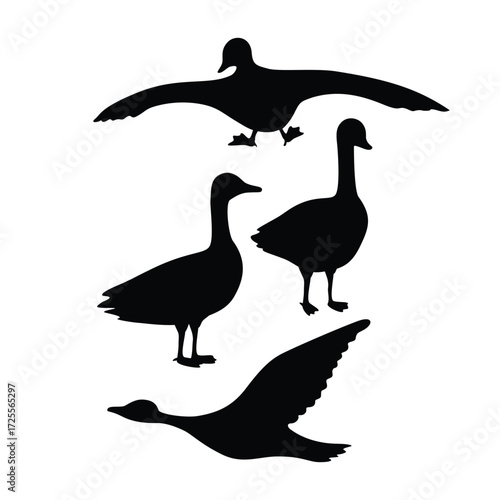 set of Canada goose silhouette design.