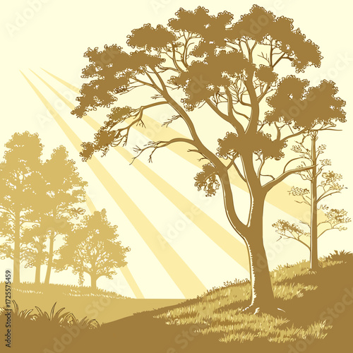 Golden rays of sunlight through silhouetted trees on a hillside