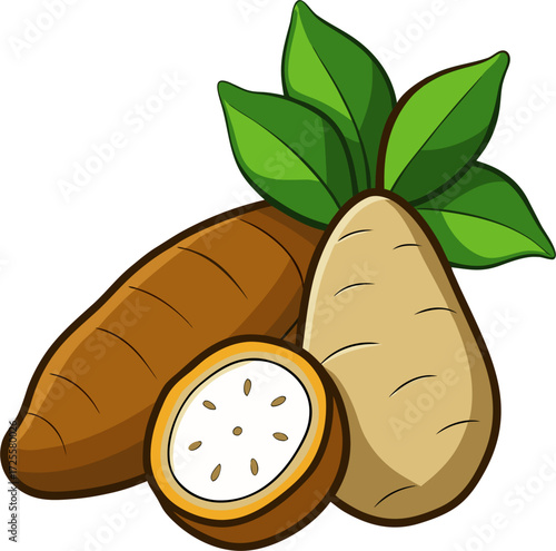 Cassava Vector Illustration | Tapioca Root, Manioc Plant, Food Clipart Design