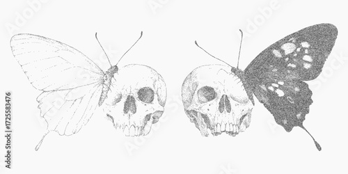 Two skulls and butterflies. Stippled form with grunge grain texture, scattered spray noise and dusty paper overlay, light scratches and soft halftone edges.
