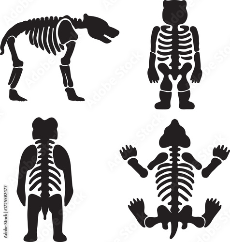 Big bear skeleton silhouette icons set side, front, back, and top views vector art illustration