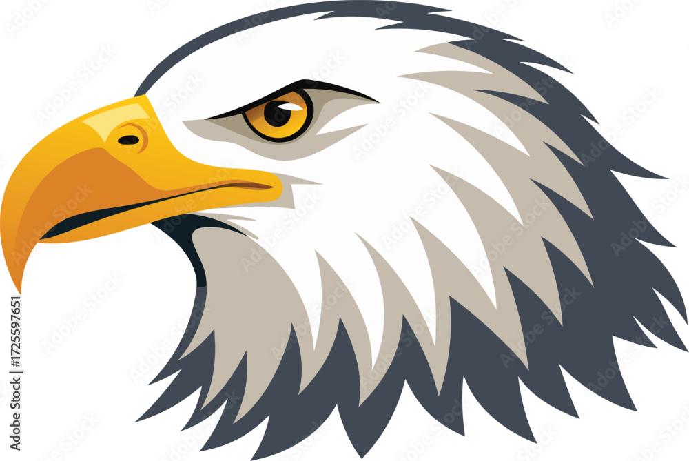 Fototapeta premium Vector illustration of american bald eagle