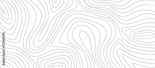abstract wavy background. topographic contour background. contour lines background. Topographic map contour background.