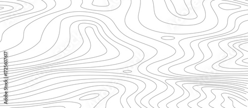 abstract wavy background. topographic contour background. contour lines background. Topographic map contour background.