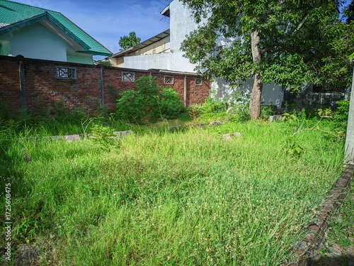 Tableau sur toile An overgrown vacant lot with tall green grass, a brick wall, and residential buildings in the background under natural light