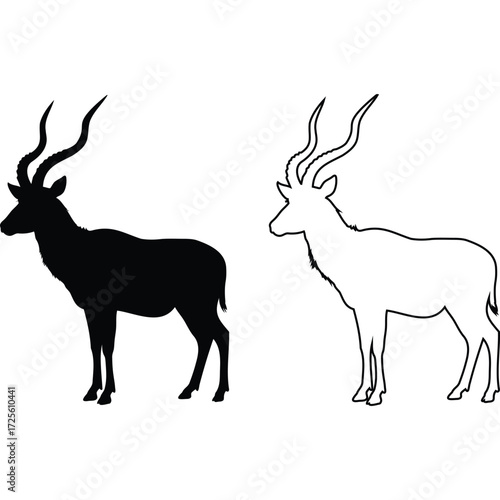 Silhouette of an Antelope with Long Horns animal wildlife mammal african fauna vector illustration graphic design black white outline