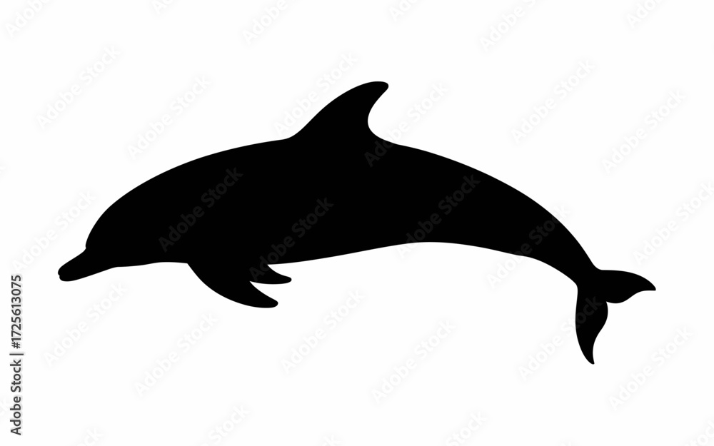 Fototapeta premium silhouette of a dolphin