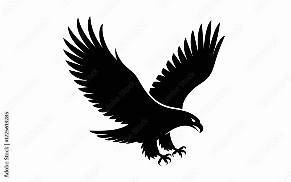 Obraz premium eagle in flight