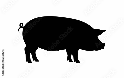 pig and piglet