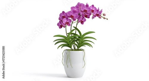 Wallpaper Mural Pink Orchid Plant in White Pot on White Background Torontodigital.ca
