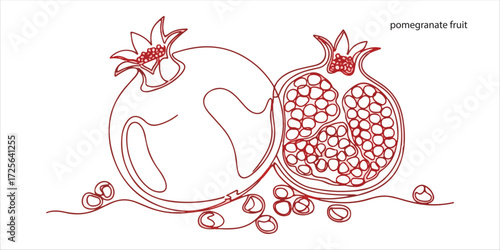 Red pomegranate fruit continuous single line art drawing sketch on white background