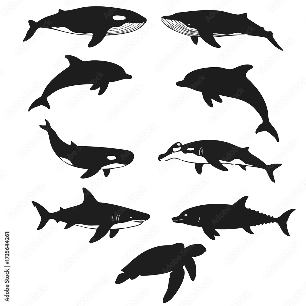 Obraz premium Marine Life Silhouettes A Collection of Whales, Dolphins, Sharks, and Sea Turtles in Black and White
