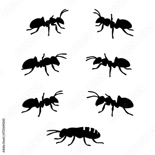 A collection of seven ant silhouettes in various poses against a white background