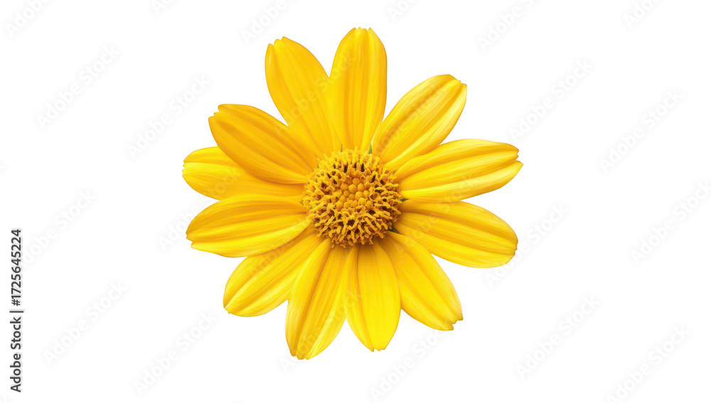 Naklejka premium A yellow flower with broad petals and a textured center. beautifully displayed on a clean white background. ideal for nature-themed projects and botanical illustrations