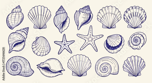 Delicate hand drawn collection of seashells and starfish evokes coastal charm and summer vacation dreams