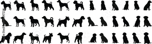 Collection of diverse dog breed silhouettes posed in various stances for design elements animal pet companionship silhouette
