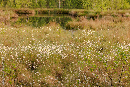 Venner Moor im Münsterland