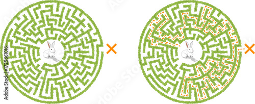 Help the white rabbit to find way out of the labyrinth. Vector green medium difficulty round hedge maze isolated on white background.