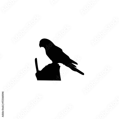 A clean, simple silhouette of a parrot perched on a small branch against a pure white background.