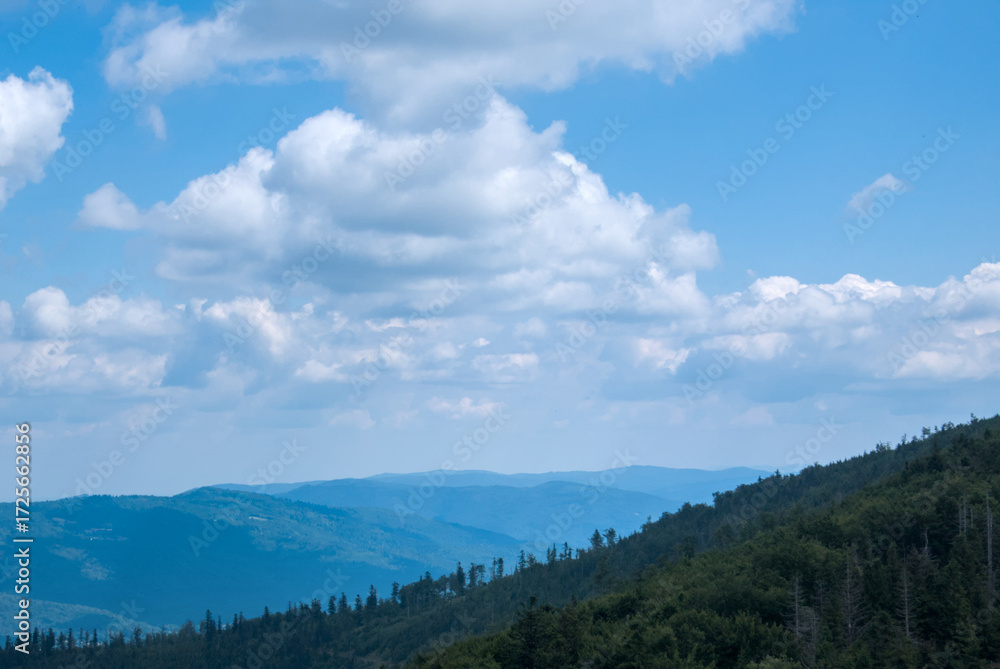 Naklejka premium Mountain forest landscape in summer with lush greenery and blue sky, perfect for travel marketing, tourism campaigns, wellness branding, and outdoor adventure promotions.