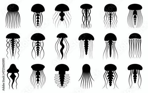 silhouettes of people