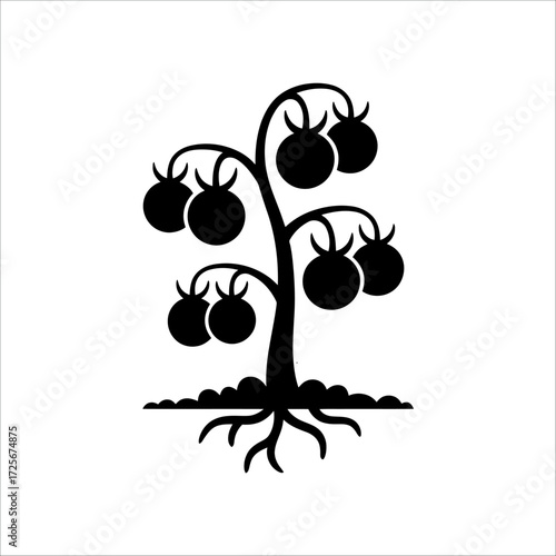 Minimalist tomato tree silhouette illustration, abstract fruit plant design with roots and branches