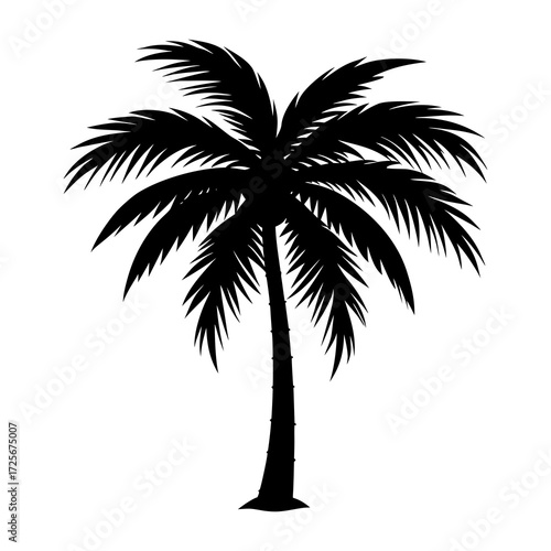 Black silhouette of a tropical palm tree on a white background