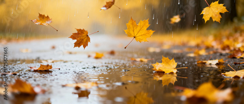 Autumn leaves falling on a wet road with raindrops