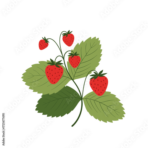 A close up of a strawberry plant with ripe red berries and green leaves growing on it.