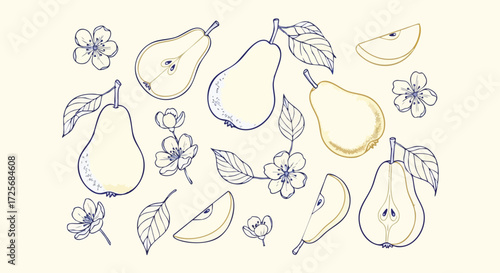 Delicate pear illustrations with blossoms and leaves offer a charming, artistic touch for seasonal promotions and healthy lifestyle content.