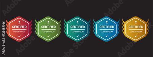 Certificate badge hexagon template for company training. Vector editable