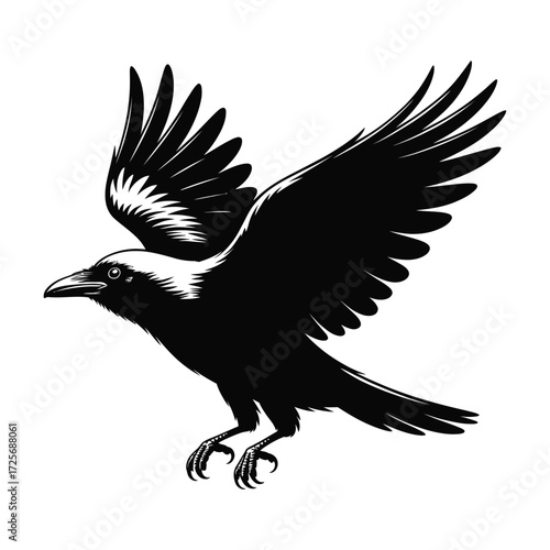 Dark flying crow silhouette vector