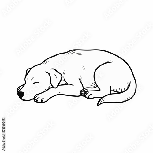 Peaceful dog sleeping soundly in a relaxed pose