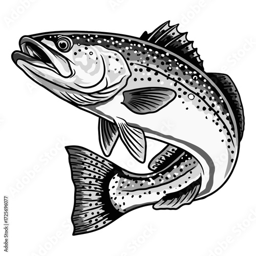 speckled trout fishing illustration logo vector image t shirt