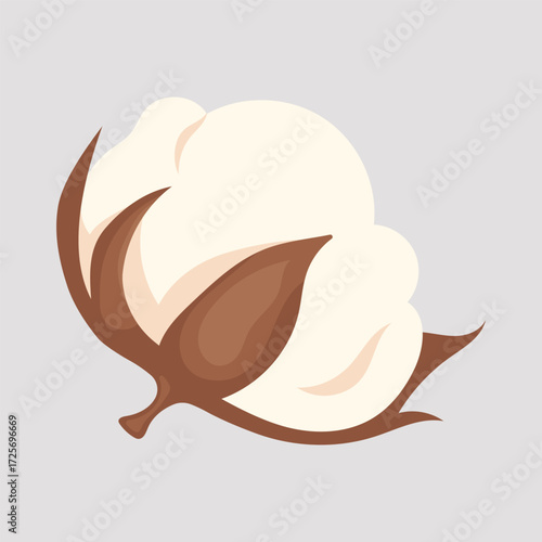 Cotton boll with soft white fibers and brown husk. Flat style drawing on a light background.