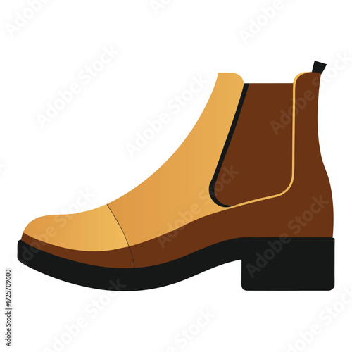 vector illustration of a Chelsea  boot