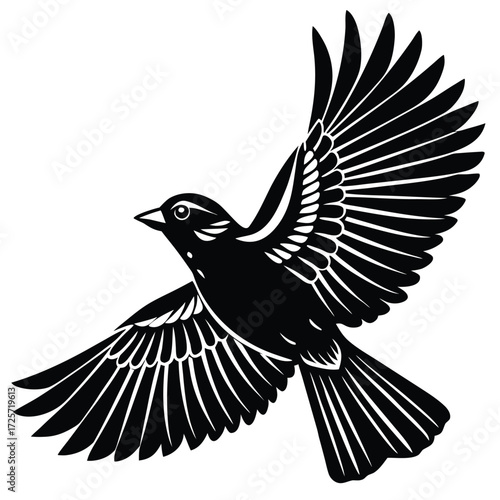 Black Silhouette of a Bird in Flight with Spread Wings