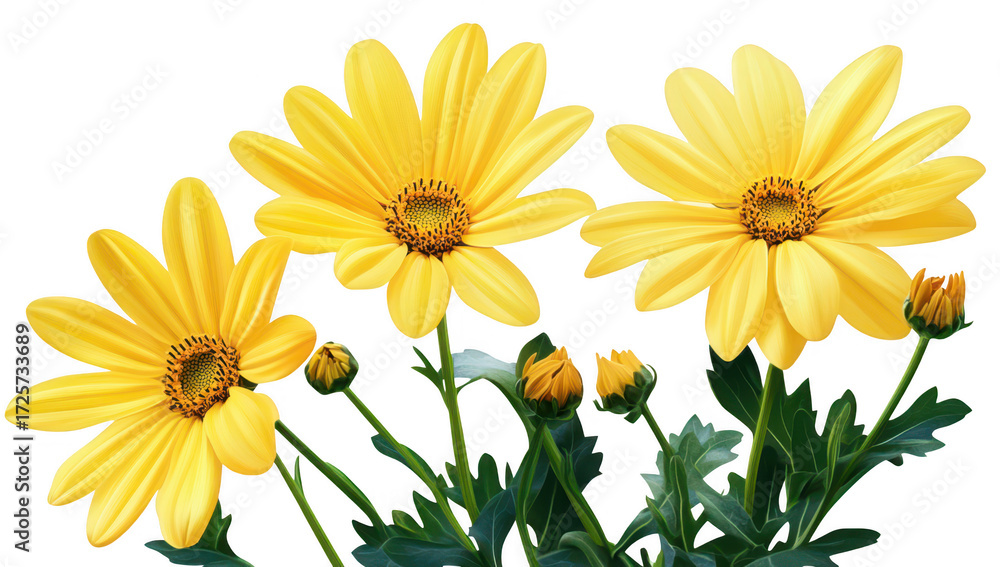 Naklejka premium A display of yellow daisies in full bloom. their intricate petals and lush green leaves. set against a clean white background. perfect for nature-themed designs
