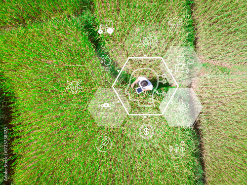 A farmer in a green field uses a tablet with digital icons overlay, symbolizing smart farming, precision agriculture, and modern technology.