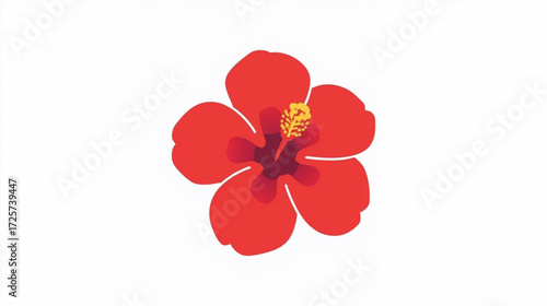 red orchid on white background