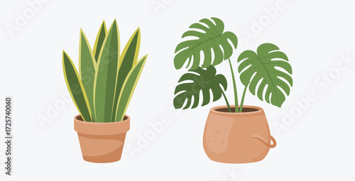 Two potted plants vector illustration houseplant collection indoor plants design