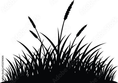 Black silhouette illustration of lush grasses and reeds vector graphic for design projects