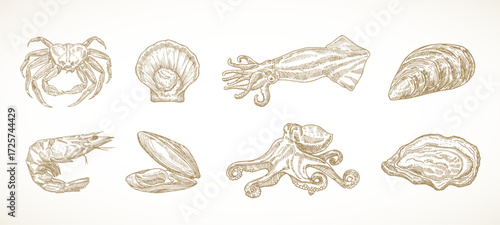 Seafood Sketch Vector Set. Vintage Engraving Style Sea Food Illustrations. Crab Squid Octopus Shrimp and Shellfish Scallop Clams Isolated Graphic. Hand Drawn Marine Meal Elements Collection