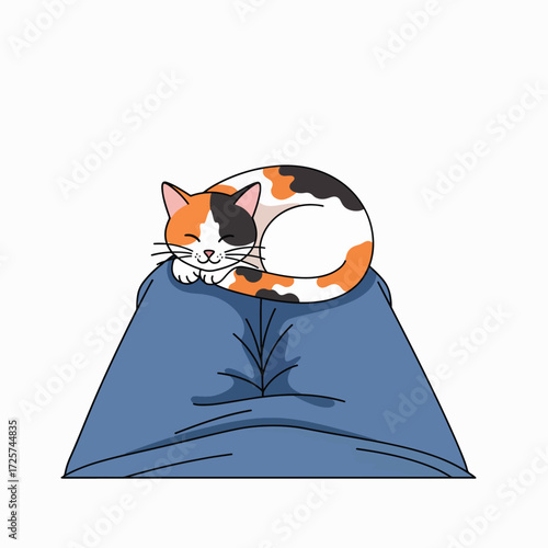 Cute Calico Cat Napping Peacefully on Blue Pillow with Closed Eyes and Soft Fur