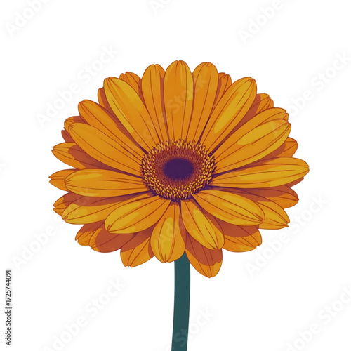 Vector calendula flower in bright orange tones