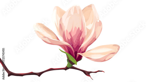Vector magnolia blossom on branch