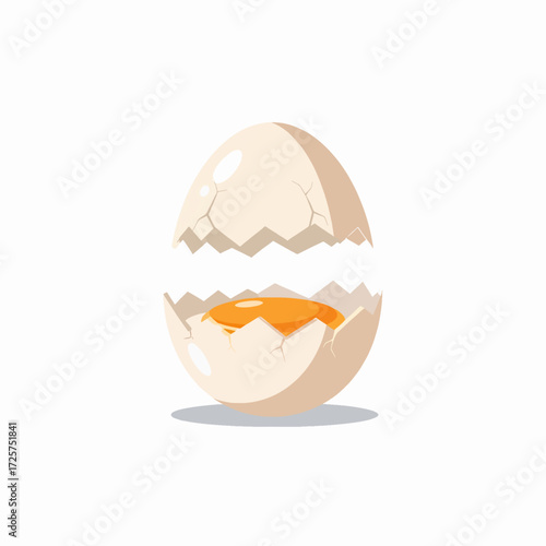 A Cracked Open Egg Revealing its Vibrant Yolk and Albumen Ready for Culinary Use