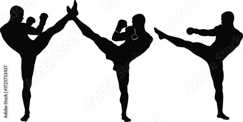 Vector silhouette illustration of martial arts fighters practicing kickboxing and karate high kicks, strong athlete training combat sport poses design