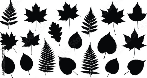 Silhouettes of various tree leaves and fern shapes, vector illustration of natural foliage elements for design, decoration, nature background